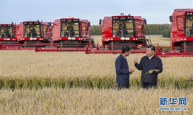 习近平：以新气象新担当新作为推进东北振兴