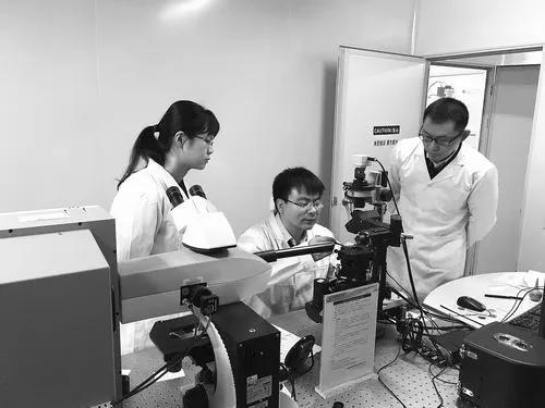 壁画保护这个困扰科学家近20年的难题 被石墨烯破解了