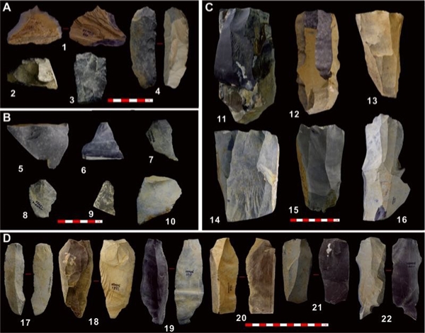 《科学》：人类4万年前已登上青藏高原