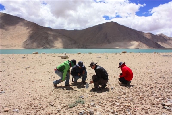 《科学》：人类4万年前已登上青藏高原