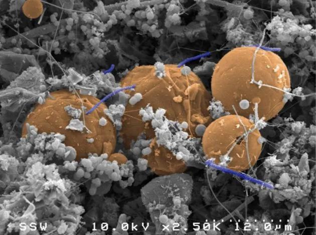 地球深处隐藏神秘生命 主要是微生物和真核生物