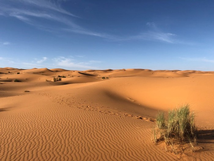 新研究：撒哈拉沙漠气候会“变脸” 两万年一轮回