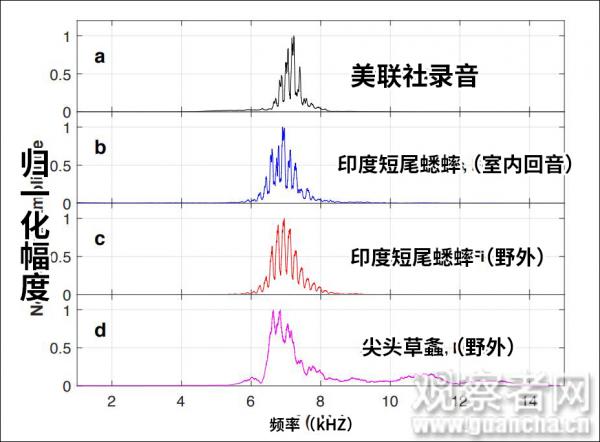 美驻古巴外交官遭"声波攻击"?科学家揭真凶:蟋蟀叫
