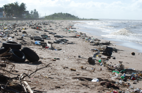 海洋变成“下水道” 塑料垃圾十年内或增加两倍