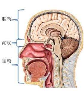 头骨上的“微雕” 中国医生完成了“不可能完成的任务”
