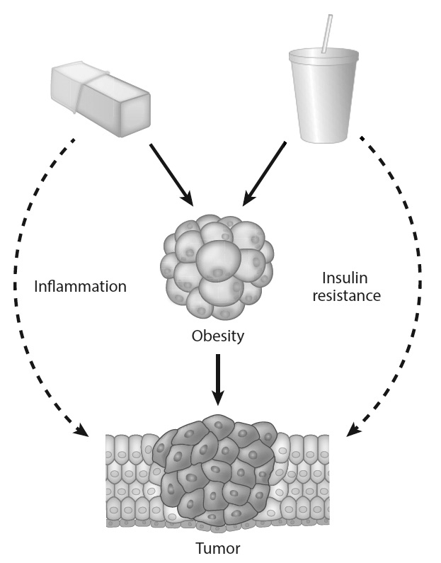 研究称糖可以促进癌细胞的生长