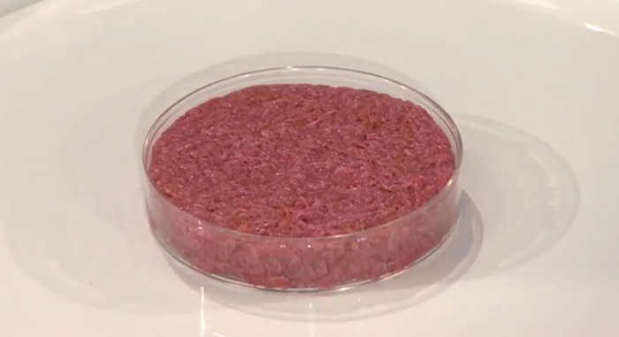 实验室里长出的干细胞培育“人造肉” 你敢吃吗？