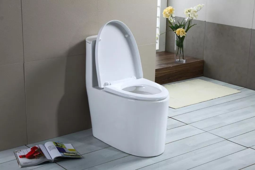 大数据下真实的中国:10亿人没坐过飞机,5亿人用不起马桶