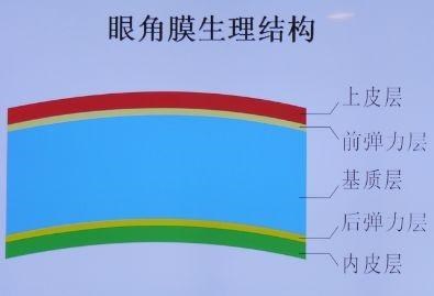 让全球180万人重见光明的角膜，人人都能捐献吗？