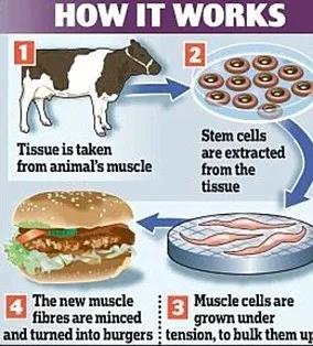 蛆虫香肠昆虫冰淇淋 这样的高蛋白食物你吃不吃？