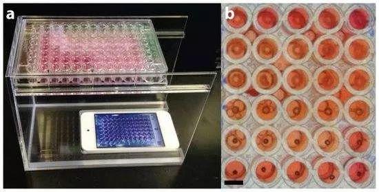 3D打印器官是怎么做到的？距离移植人体有多远？