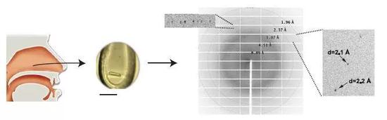 《科学》：哮喘、鼻炎终于有治啦？