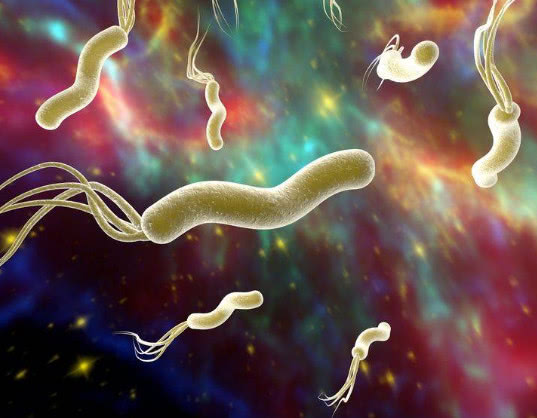 5种食物是幽门螺杆菌的“劲敌”，为何你就是不吃？