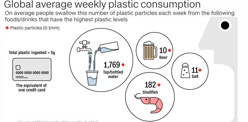 塑料污染多严重?全球人均每周"吃下"一张信用卡