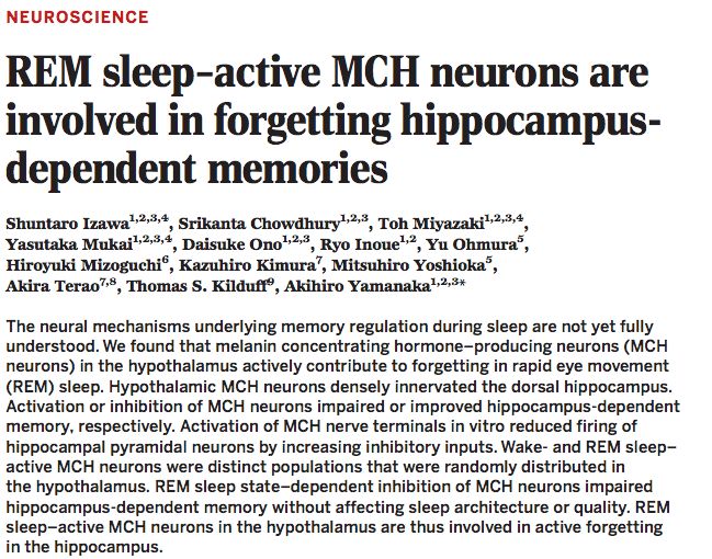 最新研究揭示：睡眠时遗忘细胞会清理记忆