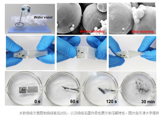 我国科学家研发新型柔性电子印刷术 成本可降至1%