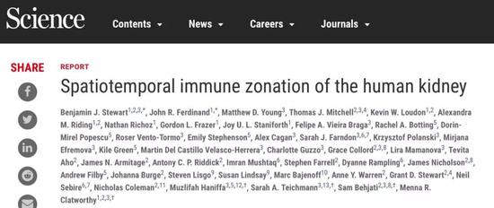 近70000个细胞测序，人类首个肾脏免疫细胞图谱问世