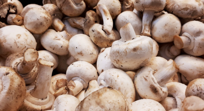 研究称定期食用蘑菇可以降低患前列腺癌的风险