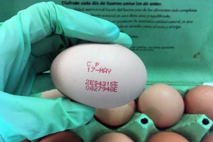 科学家开发用于区分鸡蛋类型的光谱“签名”