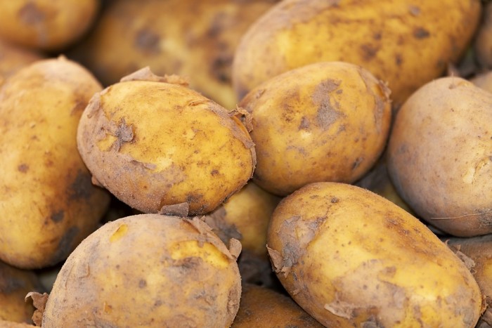 研究发现土豆能够像碳水化合物凝胶一样提高运动能力
