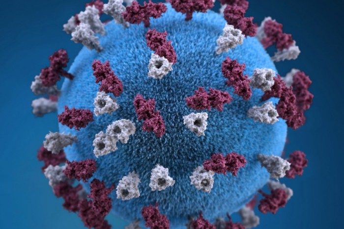 研究称麻疹感染后出现的免疫“失忆”使人们容易受到其他感染的伤害