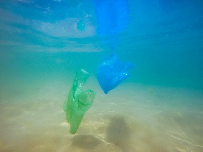 夏威夷海洋浮油塑料地表水的126倍 比幼鱼多7倍：海洋生物大量摄入
