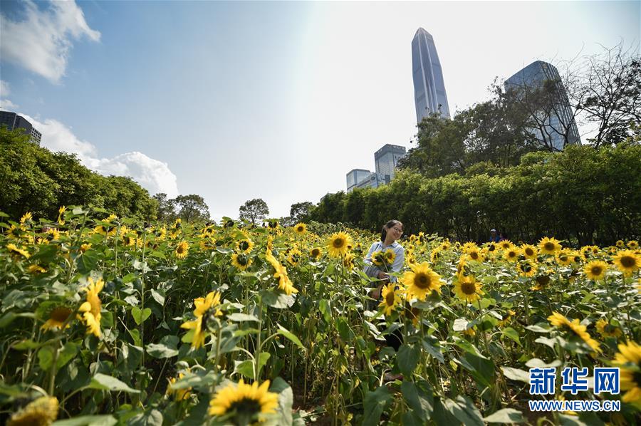 携手世界 奋进青春——深圳建设“先行示范区”全球观