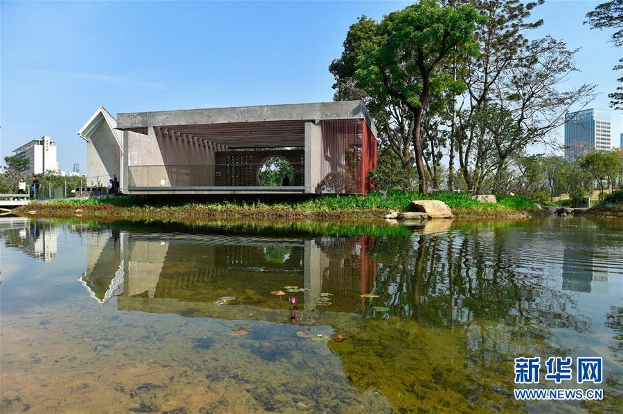 携手世界 奋进青春——深圳建设“先行示范区”全球观