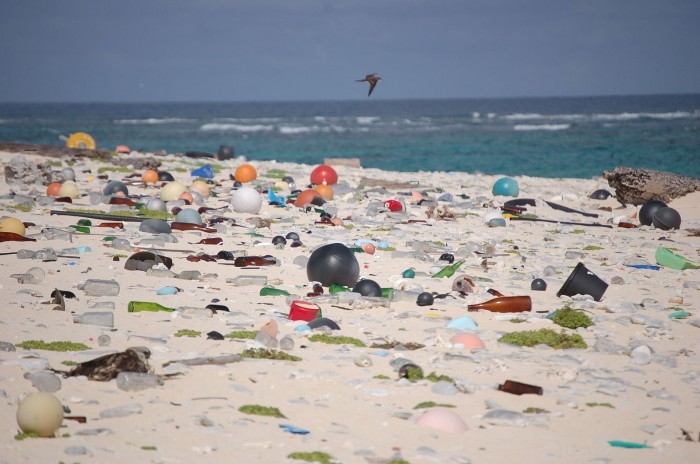 海洋塑料或比预估多数百万倍：通过食物链进入人体