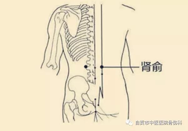 艾灸在中医骨伤临床中的应用