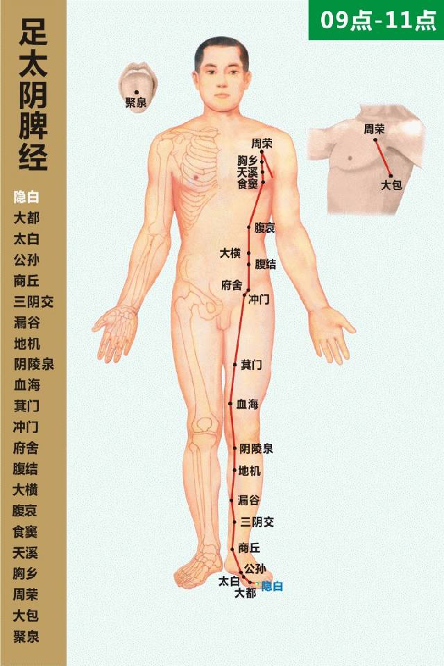 对女人来说，脾虚比肾虚更可怕