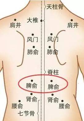 对女人来说，脾虚比肾虚更可怕