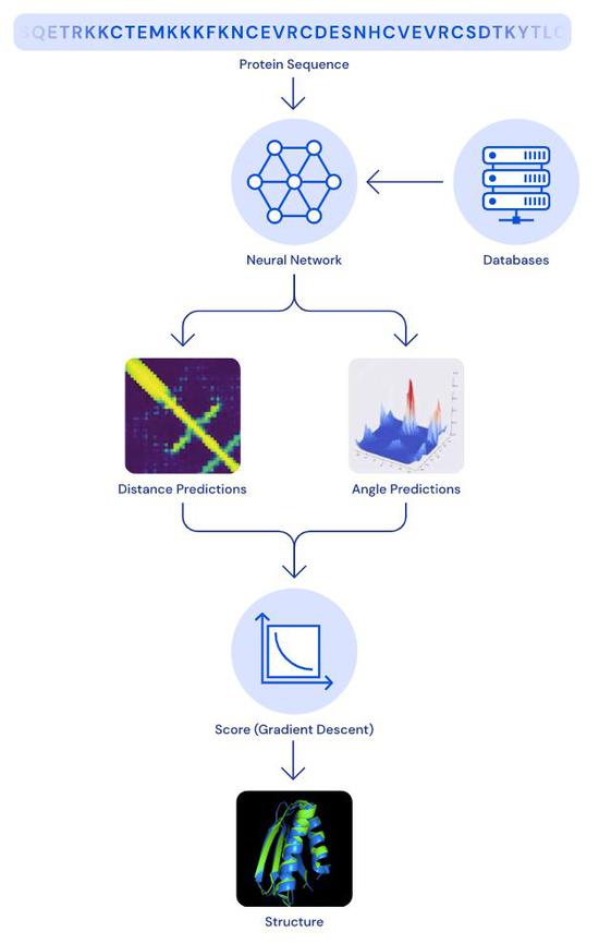 DeepMind团队预测多种新冠病毒蛋白结构 助力疫苗研发