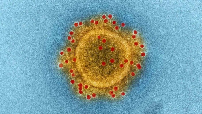 CDC关于美国确诊病例的新报告体现新冠病毒可能对年轻人也很危险