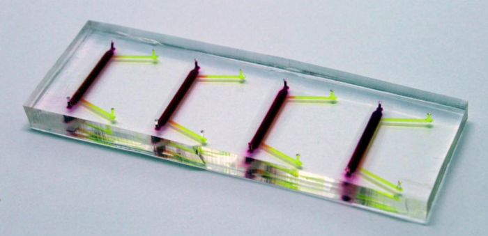 日本科学家研发“芯片上的角膜” 可模拟眼睛眨眼