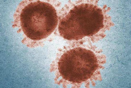 研究称新冠病毒变异菌株可能影响疫苗的开发