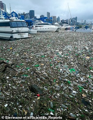 新AI算法能监测全球海洋塑料垃圾