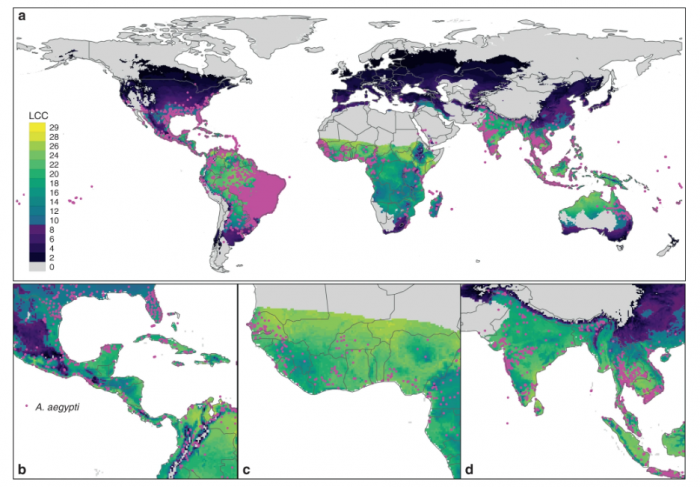 科学家警告：气候变化或加快“传病蚊”的全球入侵潜力