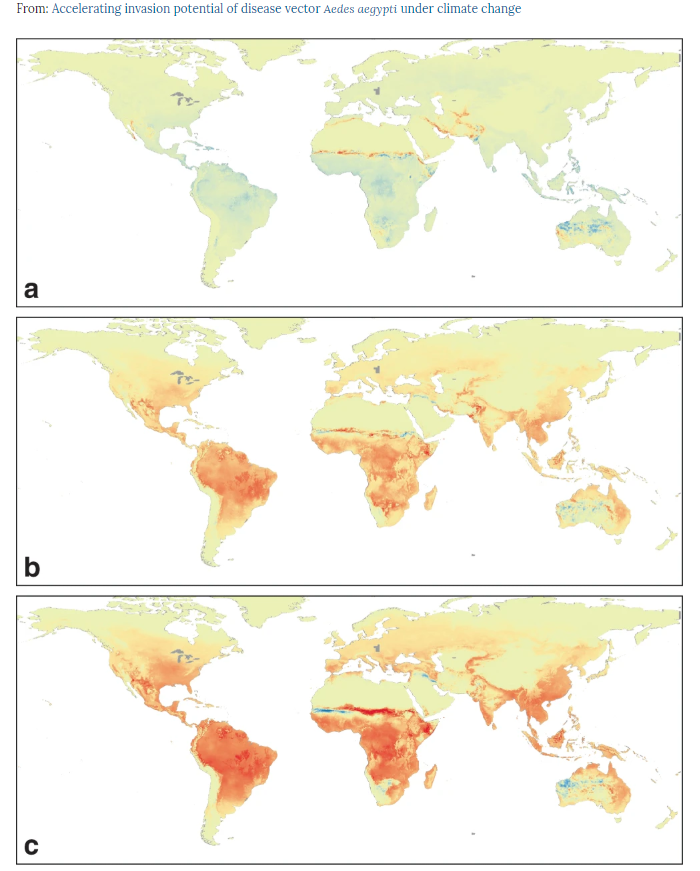 科学家警告：气候变化或加快“传病蚊”的全球入侵潜力