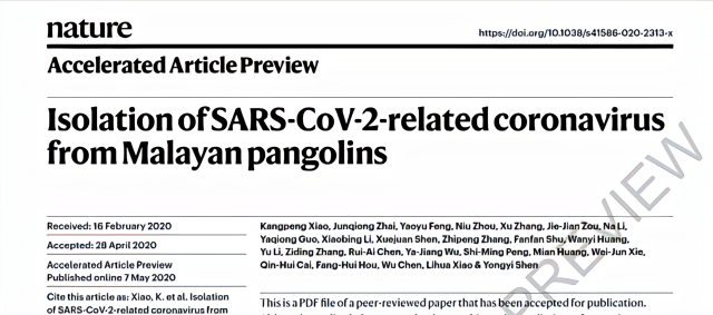 中国团队自然刊文：新冠病毒或由来自蝙蝠穿山甲冠状病毒重组