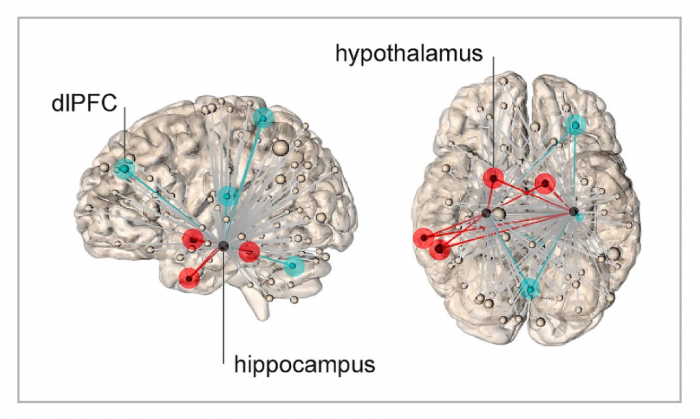 耶鲁大学新研究发现了造成压力感的大脑“网络”