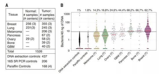 人类肿瘤里发现大量细菌！它们究竟在做什么？