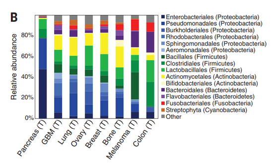 人类肿瘤里发现大量细菌！它们究竟在做什么？
