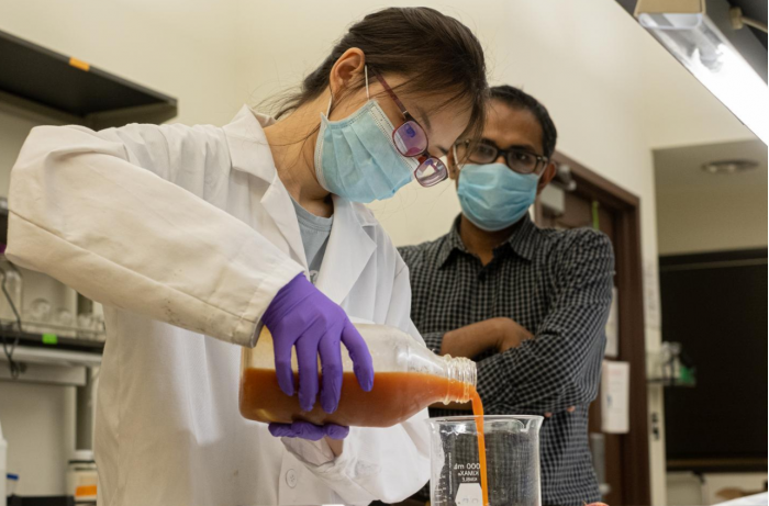 科学家利用被超市拒收的鸡蛋制造出使果蔬长时间保鲜的涂层