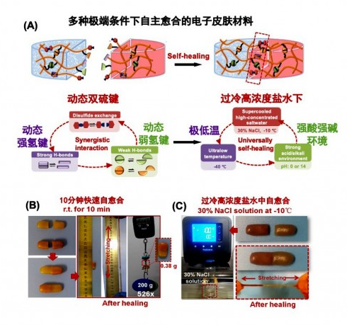 “全天候”自愈合材料的超级电子皮肤问世