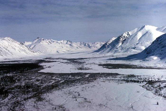 科学家称北极永久冻土融化可能会释放出致命的古代病毒