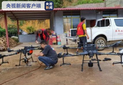 黄脊竹蝗入侵云南普洱市 累计发生面积近10万亩
