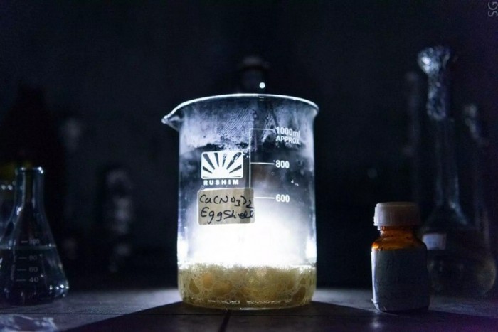 取自蛋壳：这种聚合物可帮助植入物跟骨头活组织融合
