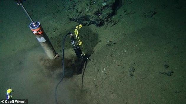 海底之下存在大量微生物，仅需极少能量就能活着