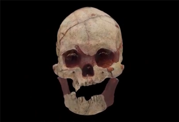 广西发现16000年前的人头骨化石，还有水稻